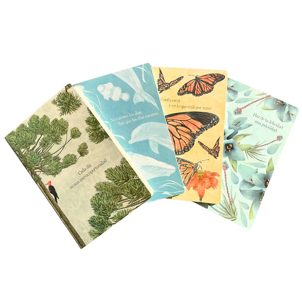 Libreta Terra
