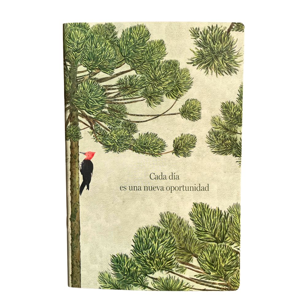 Libreta Terra